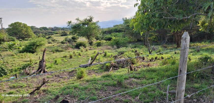 Lote en venta Lérida Tolima