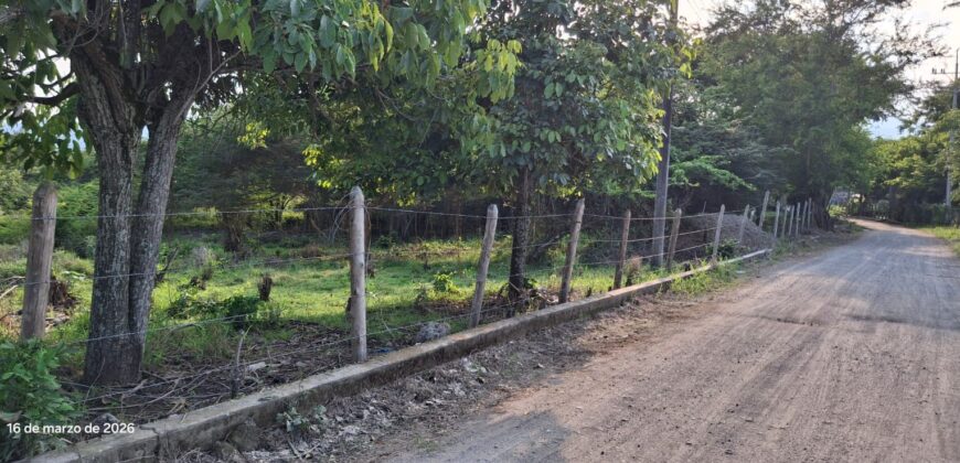 Lote en venta Lérida Tolima